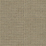 Brunschwig & Fils TEPEY CHENILLE SANDSTONE Upholstery Fabric
