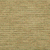 Brunschwig & Fils TEPEY CHENILLE FERN Upholstery Fabric