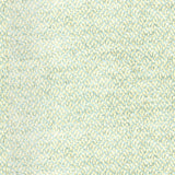 Brunschwig & Fils COTTIAN CHENILLE AQUA Upholstery Fabric