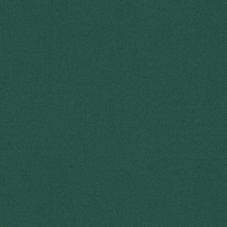 Brunschwig & Fils ADRIEN COTTON BILLIARD Fabric