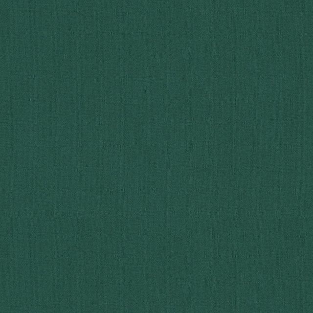 Brunschwig & Fils ADRIEN COTTON BILLIARD Fabric