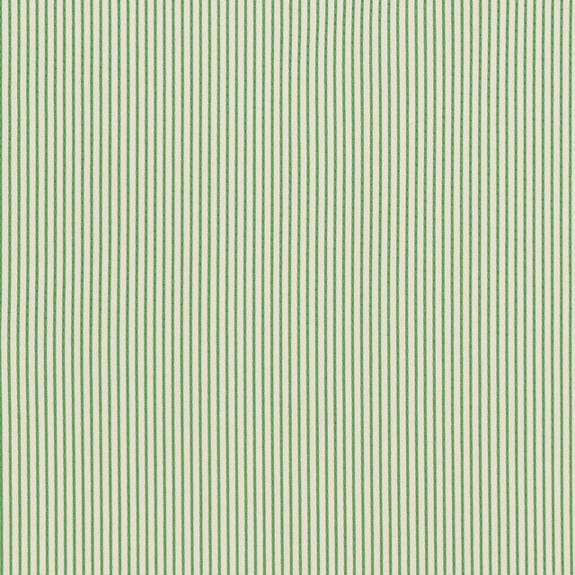Schumacher Stitched Stripe Indoor/Outdoor Green Fabric
