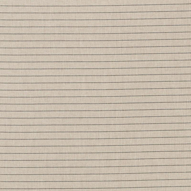 Schumacher Manning Stripe Indoor/Outdoor Black/Natural Fabric