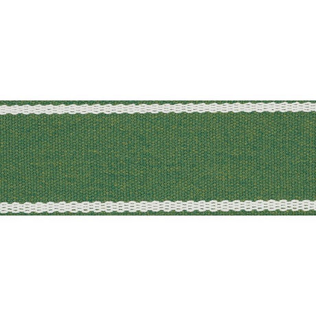 Schumacher Sullivan Tape Indoor/Outdoor Green Trim