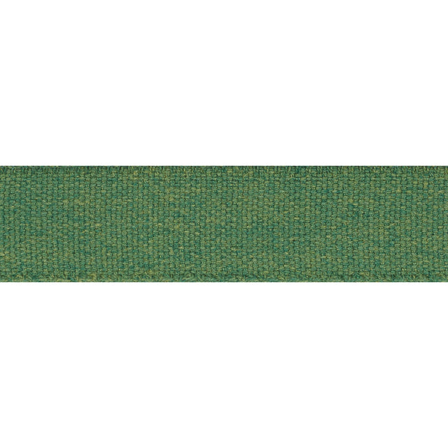 Schumacher Green Ashwood Tape Indoor/Outdoor