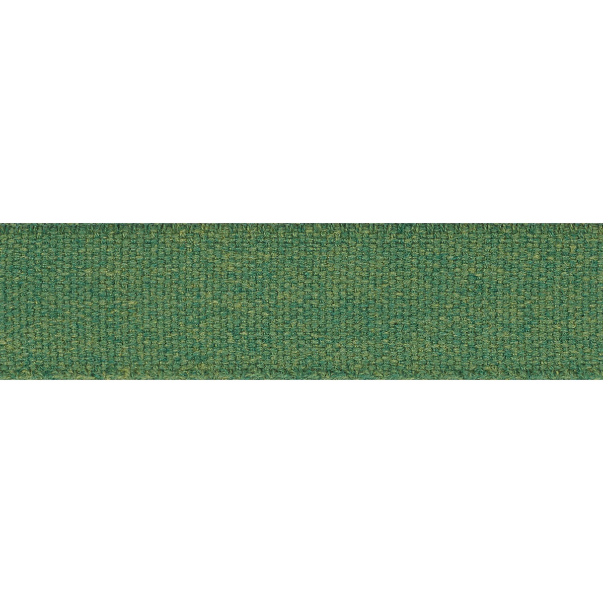 Schumacher Ashwood Tape Indoor/Outdoor Green Trim