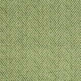 Brunschwig & Fils FIRLE CHENILLE II CELERY Upholstery Fabric