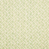 Brunschwig & Fils COMTE STRIE CELERY Upholstery Fabric