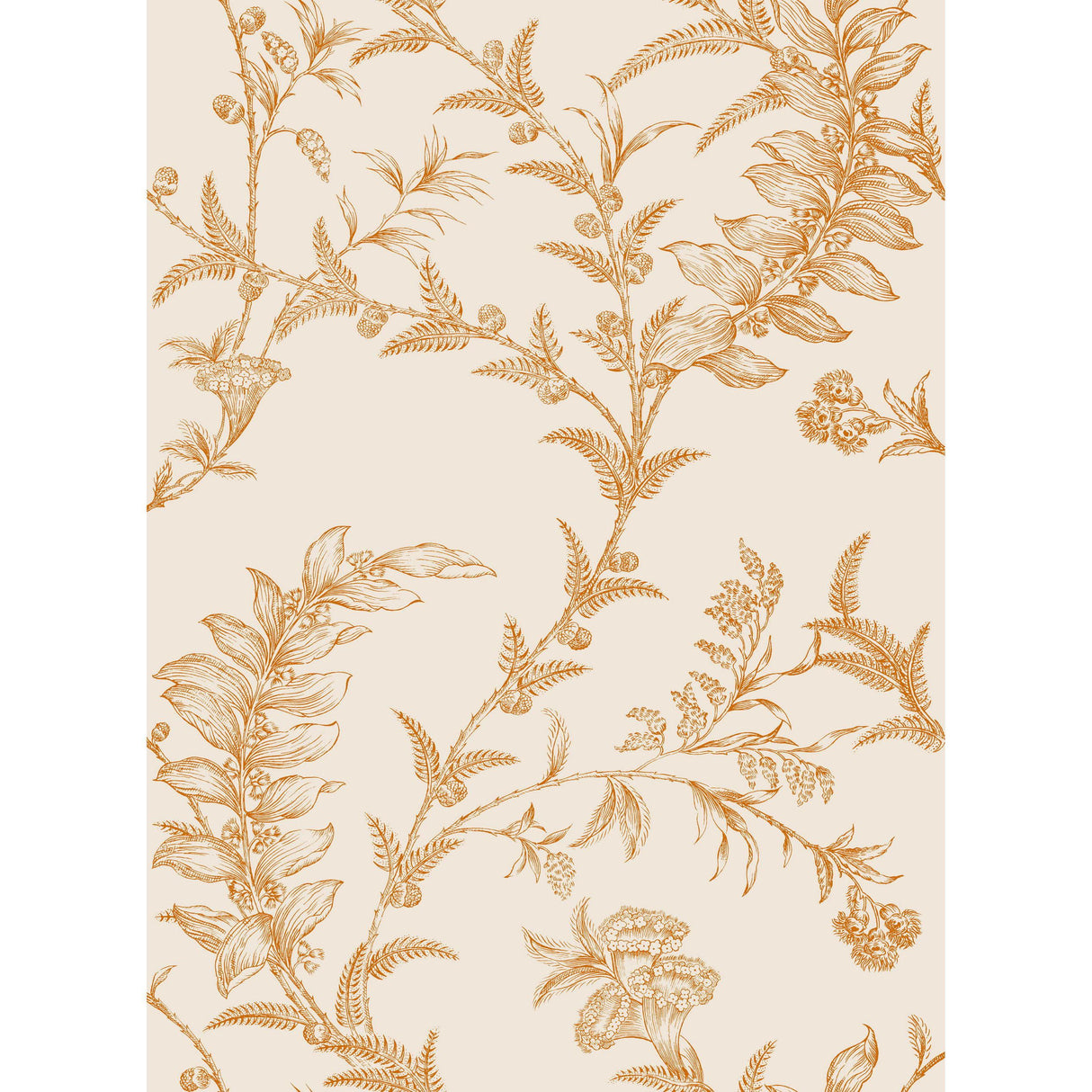 Cole & Son LUDLOW PEACH Wallpaper