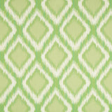 Brunschwig & Fils KAPARI WOVEN KIWI Fabric