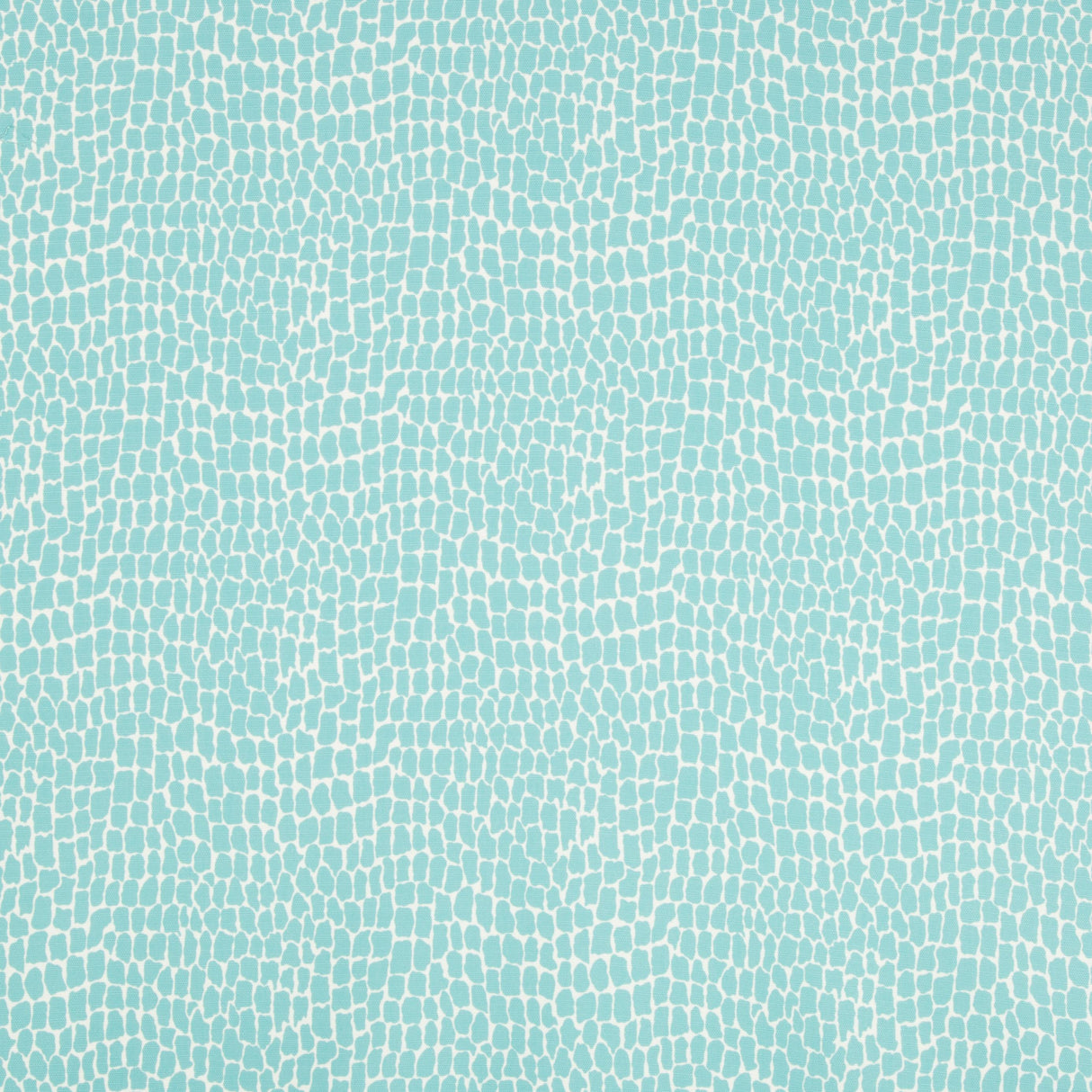 Brunschwig & Fils NILE PRINT AQUA Fabric