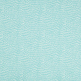 Brunschwig & Fils NILE PRINT AQUA Fabric