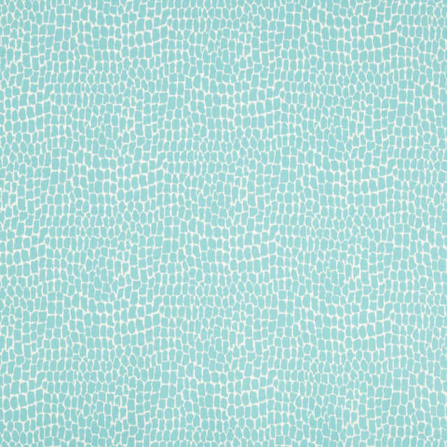 Brunschwig & Fils NILE PRINT AQUA Fabric