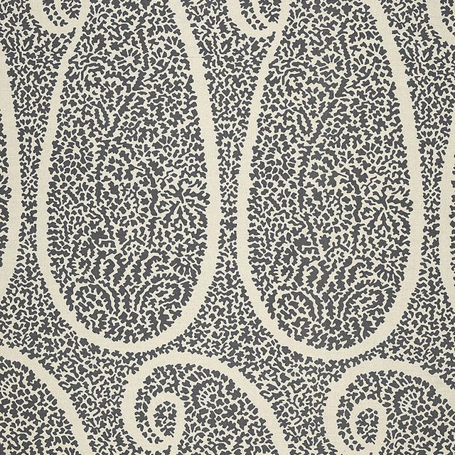 Schumacher Ambala Paisley Ash Fabric