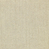 Schumacher Chaumont Silk Weave String Fabric