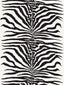 Scalamandre Zebra Black Fabric