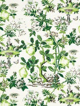 Scalamandre Shantung Garden Cotton Print Verdance Fabric
