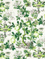 Scalamandre Shantung Garden Cotton Print Verdance Fabric