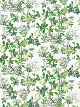 Scalamandre Shantung Garden Cotton Print Verdance Fabric