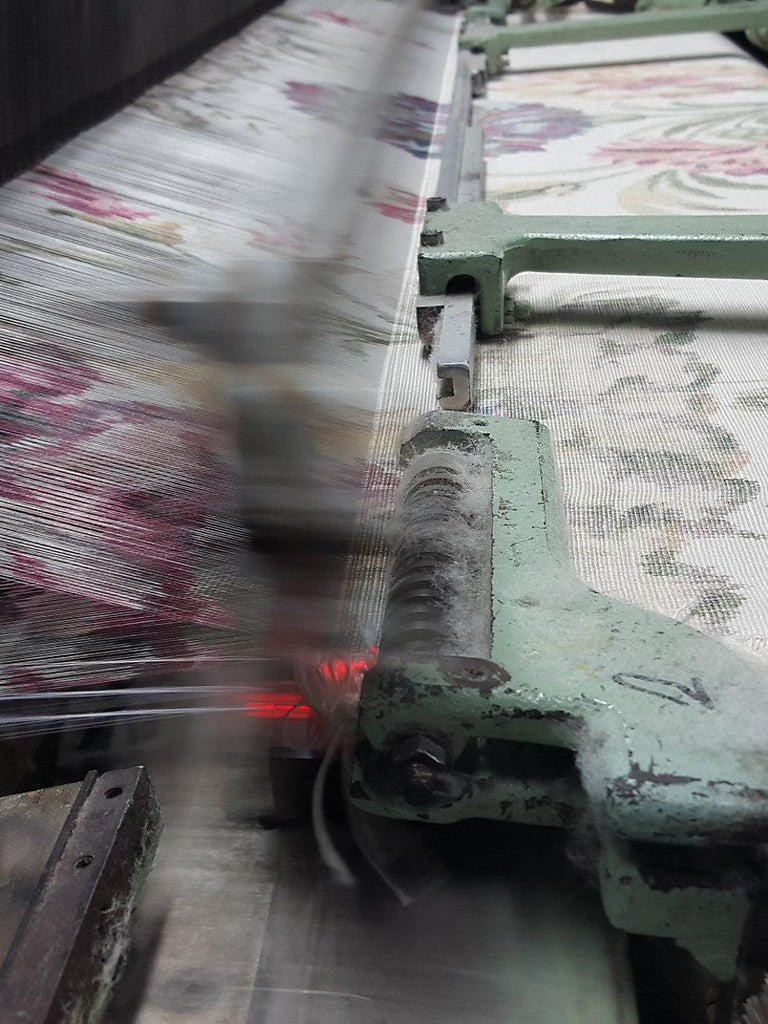 Scalamandre Somerset Silk Warp Print Bloom Fabric