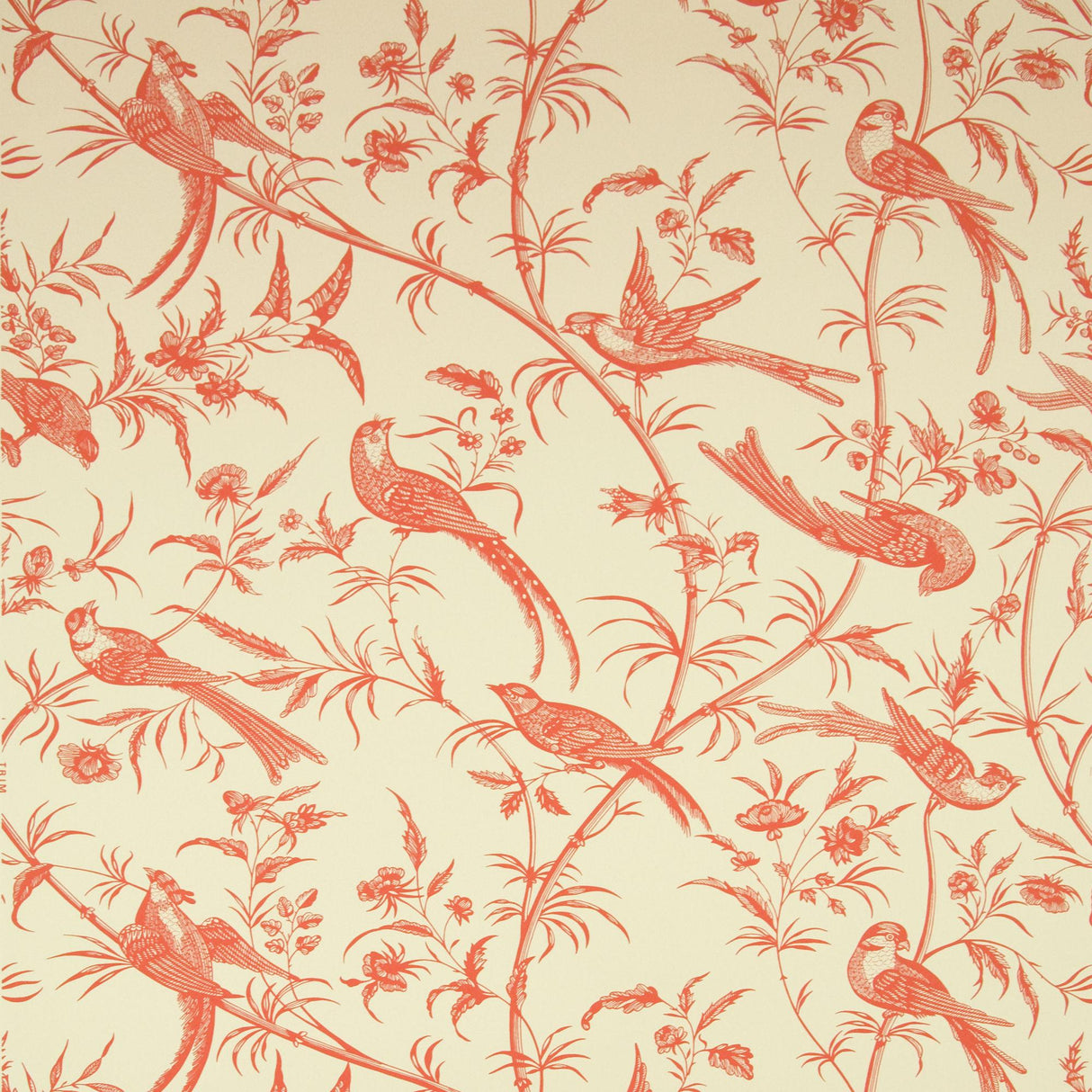 Brunschwig & Fils BENGALI ROSE Wallpaper