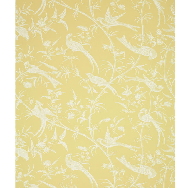 Brunschwig & Fils BENGALI MIMOSA Wallpaper