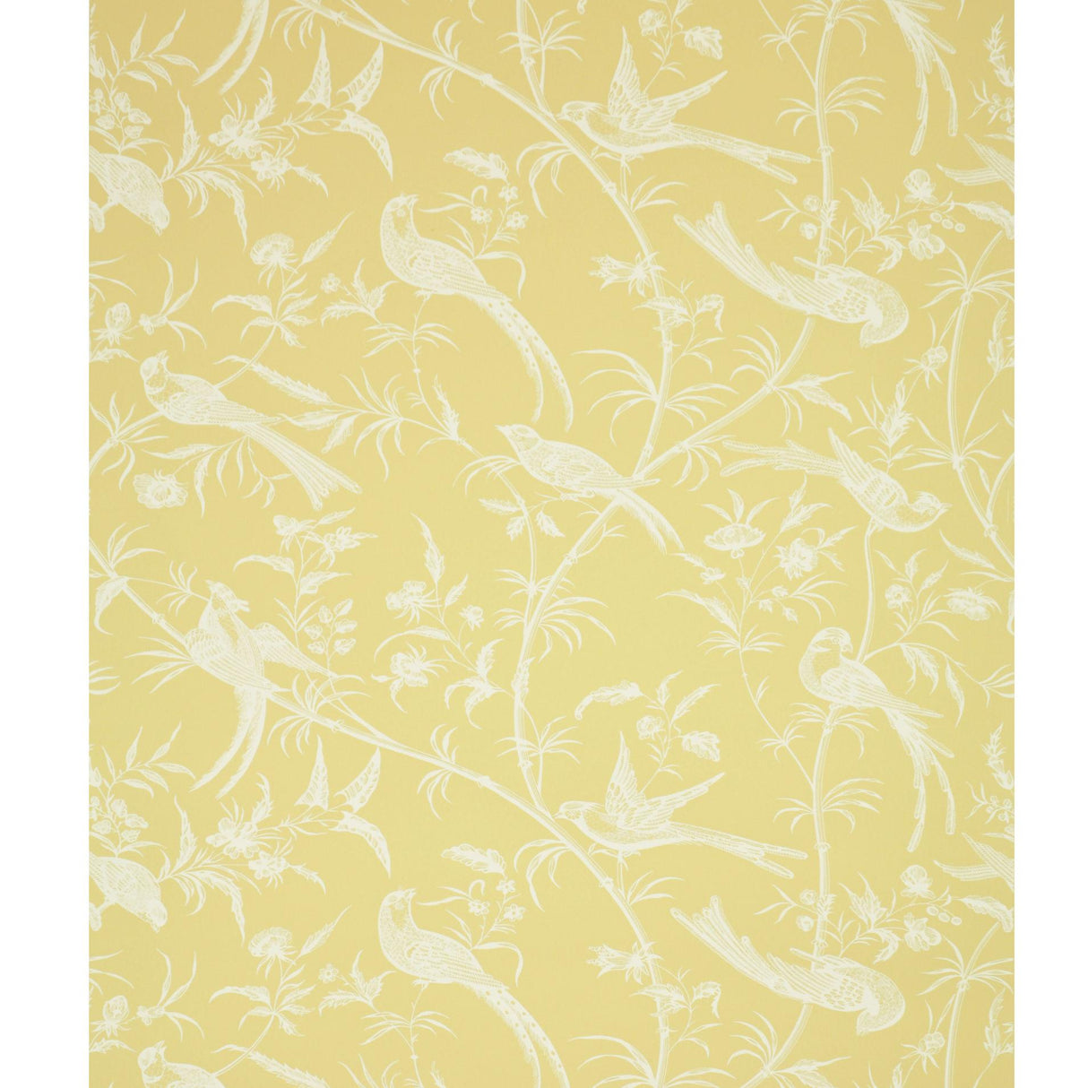 Brunschwig & Fils BENGALI MIMOSA Wallpaper