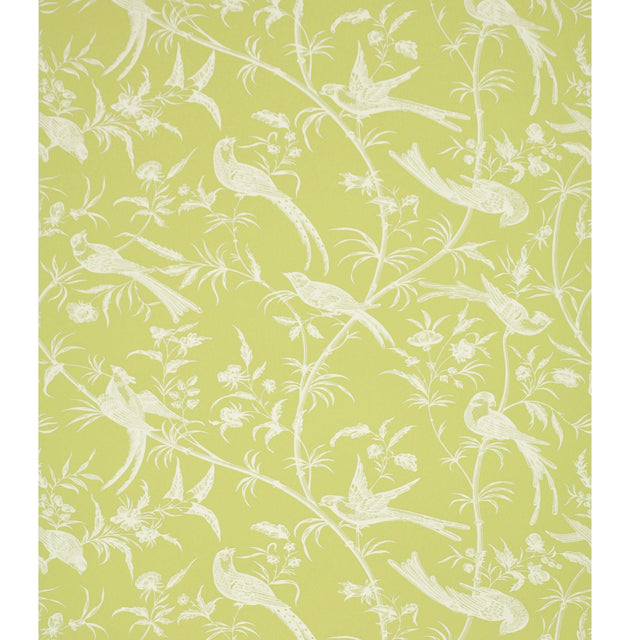Brunschwig & Fils BENGALI PISTACHIO Wallpaper