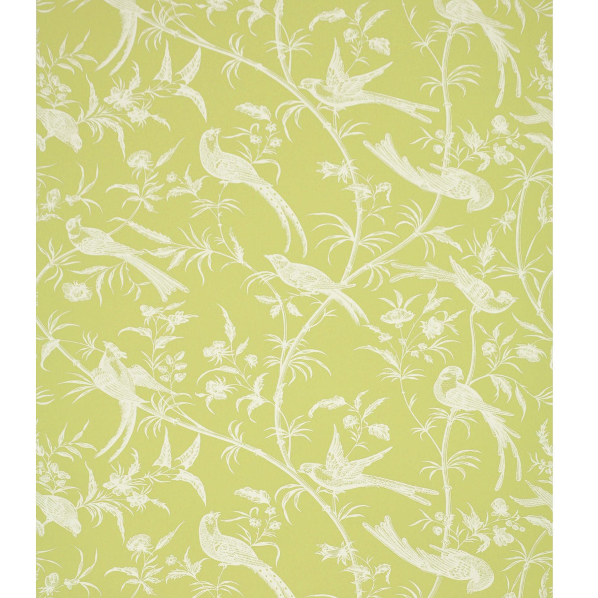 Brunschwig & Fils BENGALI PISTACHIO Wallpaper