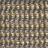 Schumacher Coco Weave Oxford Fabric
