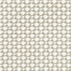Schumacher Betwixt Stone/White Fabric