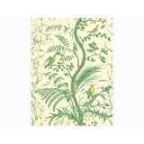Brunschwig & Fils BIRD AND THISTLE GREEN Wallpaper