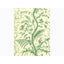 Brunschwig & Fils BIRD AND THISTLE GREEN Wallpaper