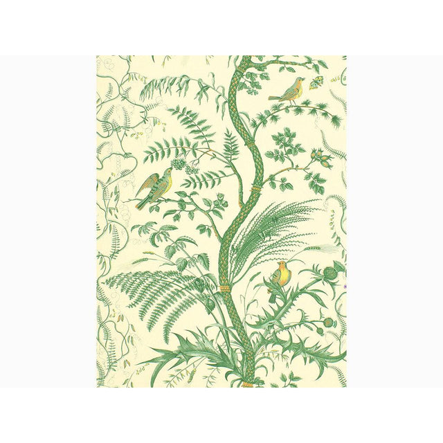 Brunschwig & Fils BIRD AND THISTLE GREEN Wallpaper