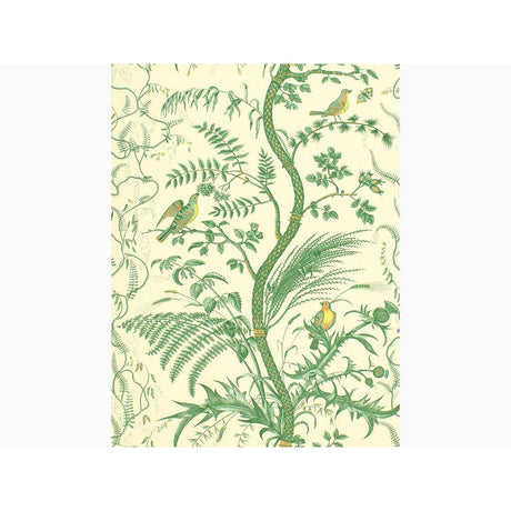 Brunschwig & Fils BIRD AND THISTLE GREEN Wallpaper