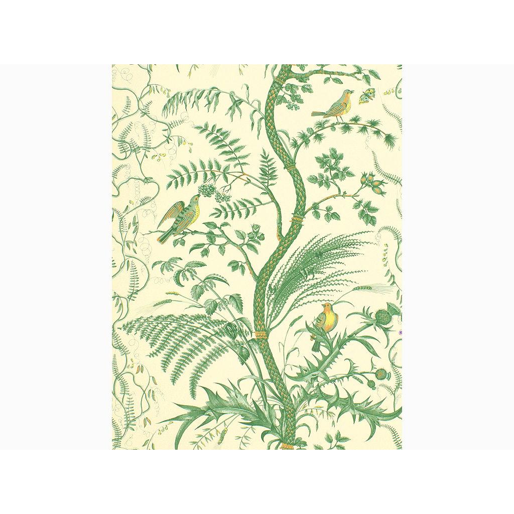 Brunschwig & Fils BIRD AND THISTLE GREEN Wallpaper