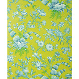 Brunschwig & Fils SHELL TOILE AQUA ON LIME Wallpaper