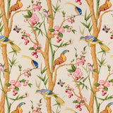 Brunschwig & Fils TOUCANS BEIGE Fabric