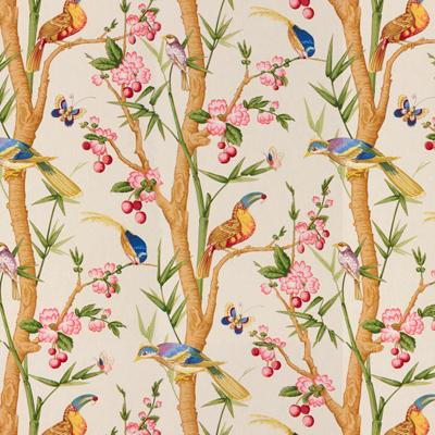 Brunschwig & Fils TOUCANS BEIGE Fabric