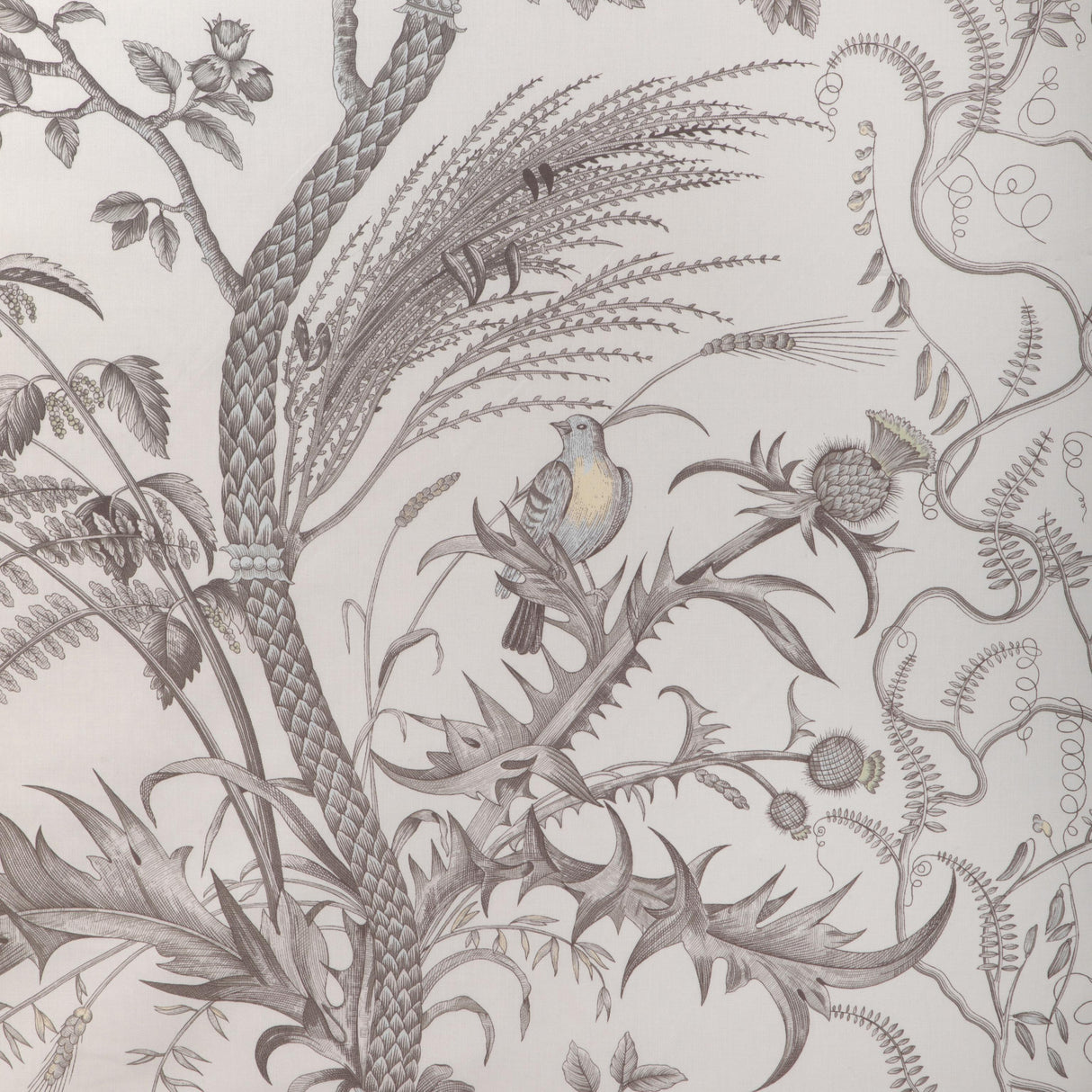 Brunschwig & Fils BIRD AND THISTLE COTTON PRINT GRAY Fabric