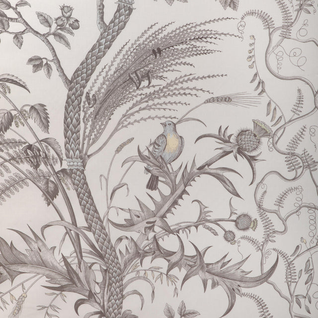 Brunschwig & Fils BIRD AND THISTLE COTTON PRINT GRAY Fabric