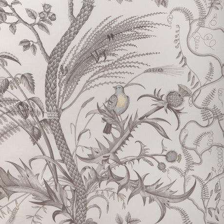 Brunschwig & Fils BIRD AND THISTLE COTTON PRINT GRAY Fabric