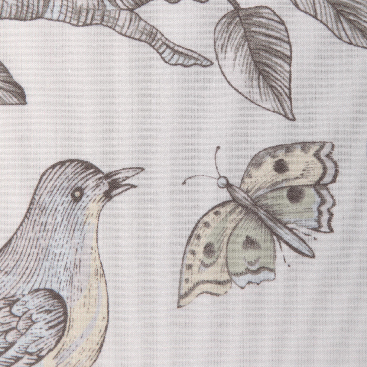 Brunschwig & Fils BIRD AND THISTLE COTTON PRINT GRAY Fabric