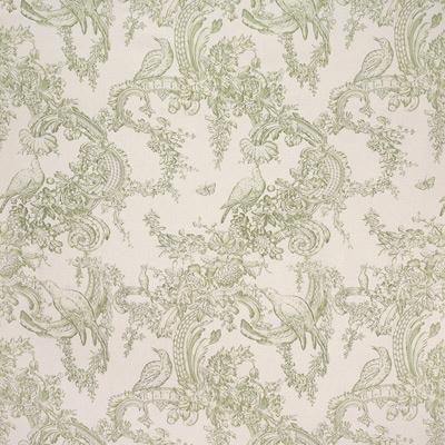 Brunschwig & Fils ROCAILLE FLORAL COTTON PRINT MOSS Fabric