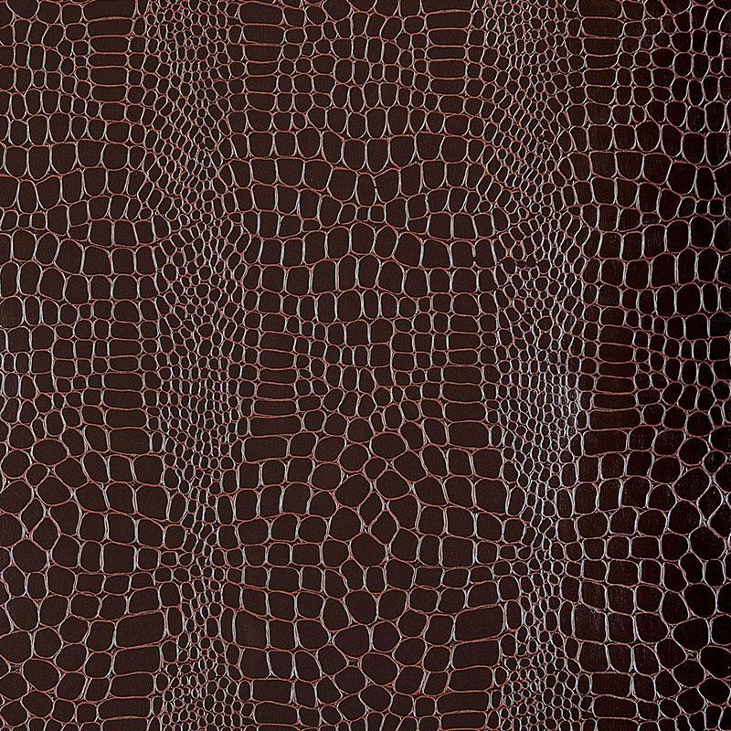 Schumacher Crocodile Java Wallpaper