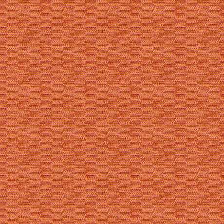 Brunschwig & Fils BARCLAY TEXTURE BITTERSWEET Upholstery Fabric