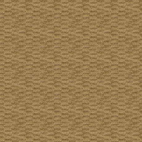 Brunschwig & Fils BARCLAY TEXTURE FAWN Upholstery Fabric
