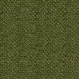 Brunschwig & Fils SOLITAIRE TEXTURE AVOCADO Upholstery Fabric