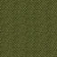 Brunschwig & Fils SOLITAIRE TEXTURE AVOCADO Upholstery Fabric