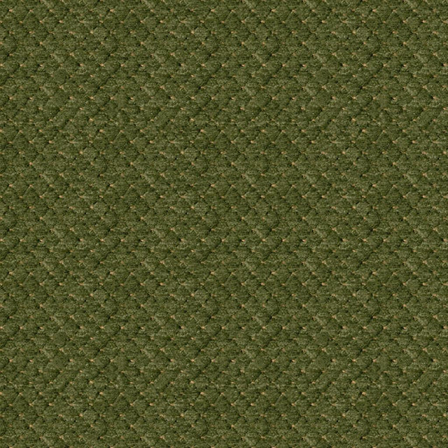 Brunschwig & Fils SOLITAIRE TEXTURE AVOCADO Upholstery Fabric